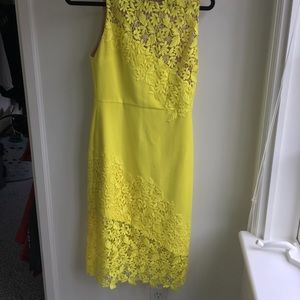Alice and Olivia dress